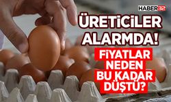 Fiyatları Neden Bu Kadar Düştü?