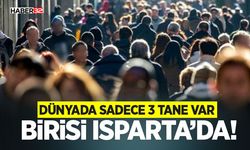 Dünyada Sadece 3 Tane Var -  Birisi Isparta’da!
