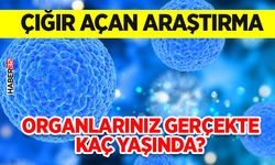 Organlarınız Gerçekte Kaç Yaşında?