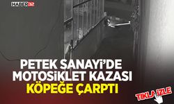 Petek Sanayi’de Motosiklet Kazası: Köpeğe Çarptı
