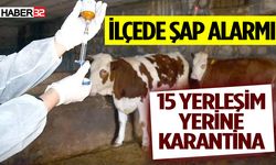 İlçede Şap Alarmı: 15 Yerleşim Yerine Karantina