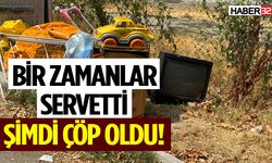 Bir zamanlar servetti, şimdi çöp oldu!