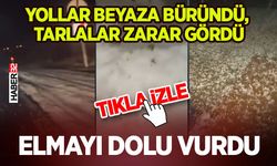Yollar Beyaza Büründü, Tarlalar Zarar Gördü