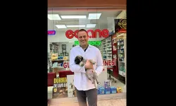 Eczacı Murat Gültekin Kimdir, Neden Öldü?