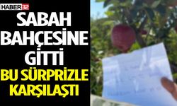 Elma Bahçesine Bırakılan Not Duygulandırdı