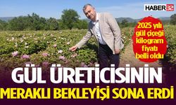 2025 yılı gül çiçeği kilogram fiyatı belli oldu