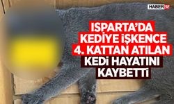 4. Kattan Atılan Kedi Hayatını Kaybetti