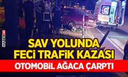 Sav Yolunda Feci Trafik Kazası - Otomobil Ağaca Çarptı