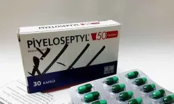 Piyeloseptyl Nedir?