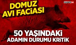 Domuz Avı Faciası - 50 Yaşındaki Adamın Durumu Kritik