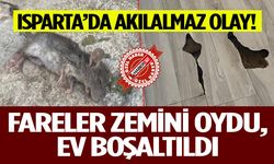 Fareler Zemini Oydu, Ev Boşaltıldı