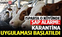 Isparta’nın O Köyünde Şap Alarmı