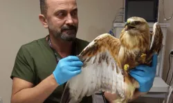 Veteriner Hekim Uğur Cem Tahmaz Kimdir, Neden Öldü?