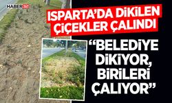 “Belediye Dikiyor, Birileri Çalıyor”