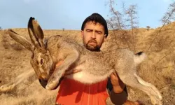 Aleviler neden tavşan yemez?