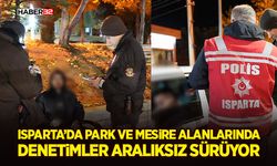Park ve Mesire Alanlarında Denetimler Aralıksız Sürüyor