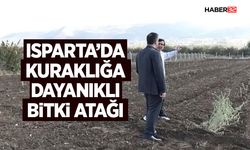 Isparta’da Kuraklığa Dayanıklı Bitki Atağı
