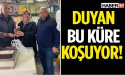 Duyan Bu Bitkisel Küre Koşuyor!