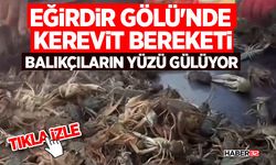 Eğirdir Gölü'nde Kerevit Bereketi: Balıkçıların Yüzü Gülüyor
