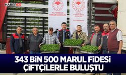 343 Bin 500 Marul Fidesi Çiftçilerle Buluştu