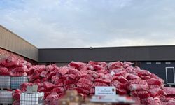 Antalya’da kaçak alkol operasyonu: 52 bin litre etil alkol ele geçirildi