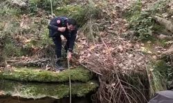 Dereye düşen köpek duyarlı vatandaş sayesinde kurtarıldı