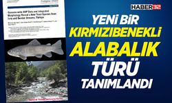 Yeni bir Kırmızıbenekli Alabalık Türü Tanımlandı