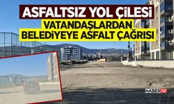 Vatandaşlardan Belediyeye Asfalt Çağrısı