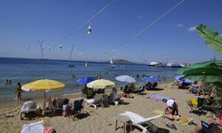 Avşa Adası Tatil Rehberi ile Uygun Fiyatlı Pansiyonları Kolayca Bulun