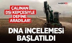 Define Arama Skandalında DNA İncelemesi Başlatıldı