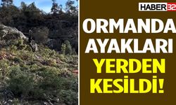 Kurulan Düzenek Sosyal Medyada Gündem Oldu