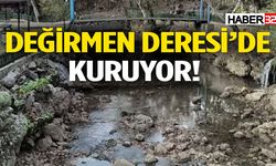 Bir Zamanlar Gürül Gürül Akıyordu!