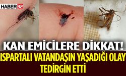 Ispartalı Vatandaşın Yaşadığı Olay Tedirgin Etti!