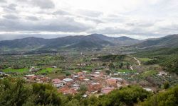 Süt Üreticisi Fiyatlardan Dertli: Yem Maliyetleri Bel Büküyor!