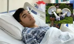 Köygöçüren mantarı nerede bulunur? Mantardan zehirlenen Batuhan Badak kimdir? Köygöçüren mantarı yenir mi, zehirli mi?