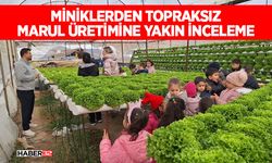 Miniklerden Topraksız Marul Üretimine Yakın İnceleme