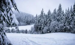 Bugün 29 Aralık Pazartesi Giresun’da okul yok mu (KAR TATİLİ – GİRESUN VALİLİĞİ)?