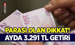 Parası Olan Dikkat! - Ayda 3.291 TL Getiri