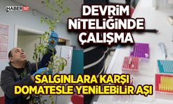 Salgınlara Karşı Domatesle Yenilebilir Aşı