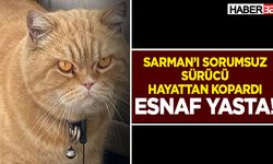 Sanayinin Maskotu Sarman’ı Sorumsuz Sürücü Hayattan Kopardı