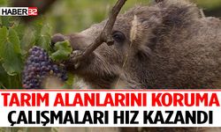 Tarım Alanlarını Koruma Çalışmaları Hız Kazandı