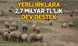 Yerli Irklara 2,7 Milyar TL’lik Dev Destek