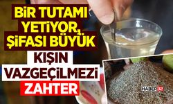 Bir Tutamı Yetiyor, Şifası Büyük: Kışın Vazgeçilmezi Zahter