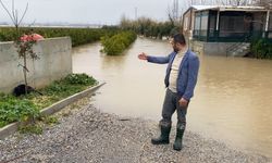 Sağanak sonrası evde mahsur kalan 4 köpek iş makinesiyle kurtarıldı