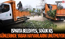 Isparta Belediyesi, Soğuk Kış Günlerinde Yaban Hayvanlarını Unutmuyor