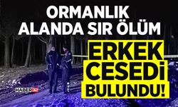 Ormanlık Alanda Sır Ölüm: Erkek C*sedi Bulundu!