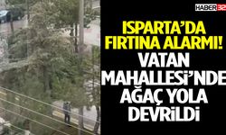 Vatan Mahallesi’nde Ağaç Yola Devrildi