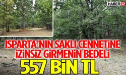 O Ormana İzinsiz Girmenin Bedeli: 557 BiN TL