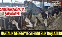 Hastalık Nedeniyle Seferberlik Başlatıldı