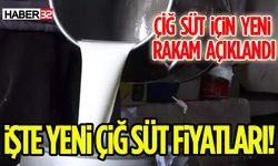Bölge Süt Sanayisi ve Üreticiler İçin Kritik Karar: Çiğ Süt Fiyatı Artırıldı